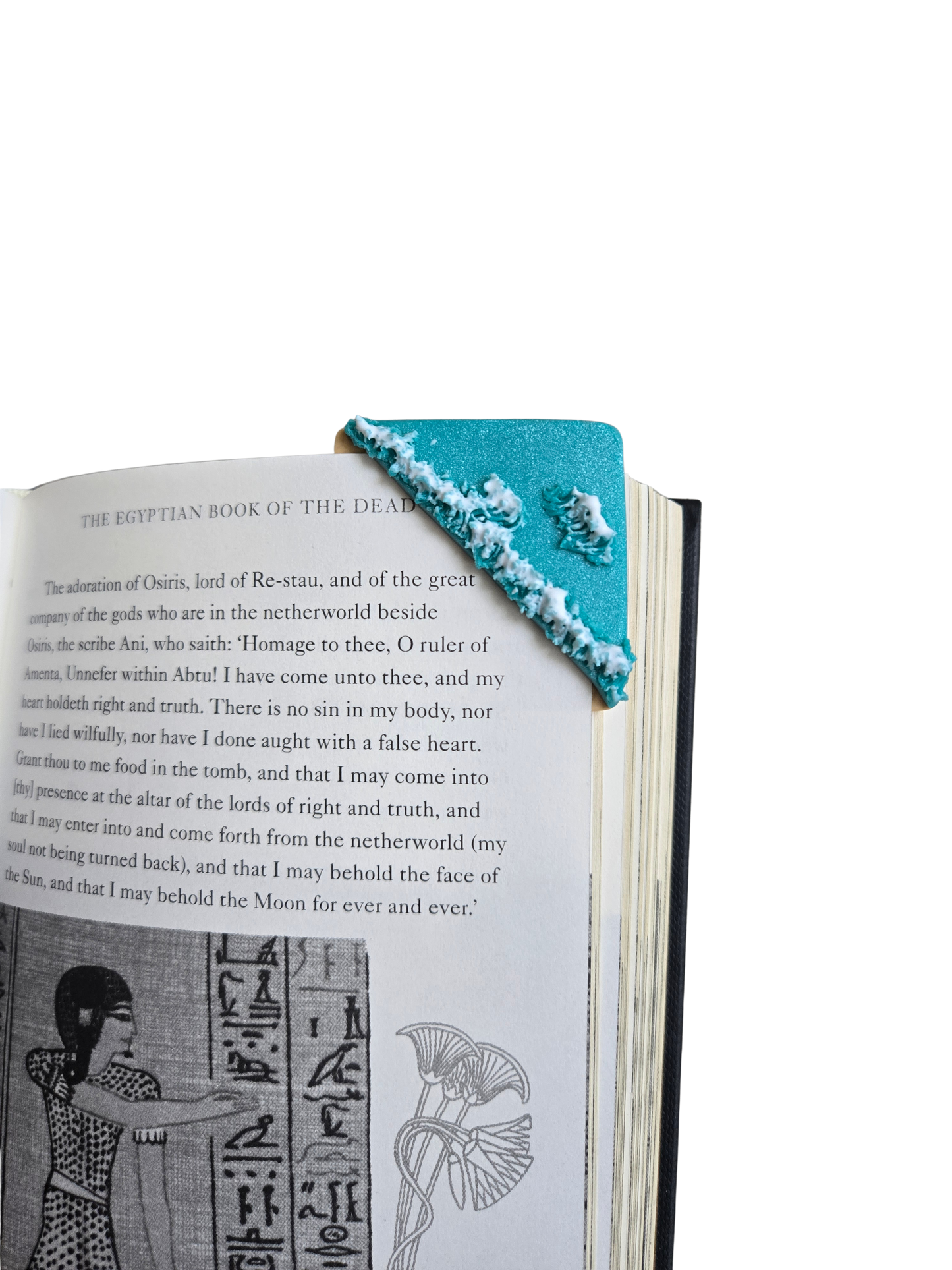 Calypso Corner Bookmark